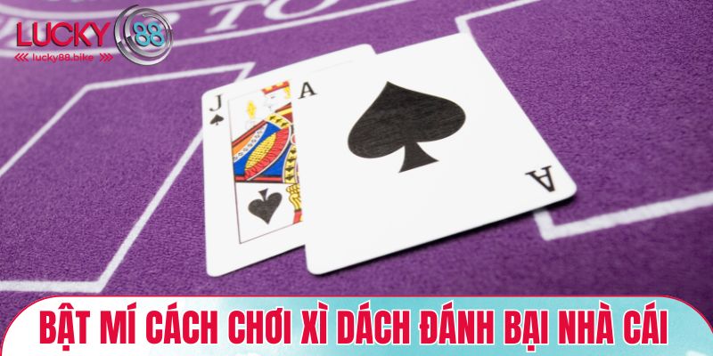 Bật mí cách chơi xì dách đánh bại nhà cái