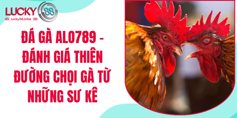 đá gà alo789 tại lucky88