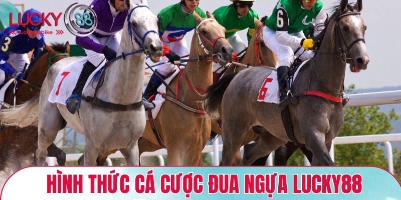 Một số hình thức cá cược đua ngựa Lucky88