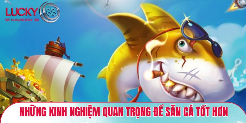 Kinh nghiệm chơi quan trọng