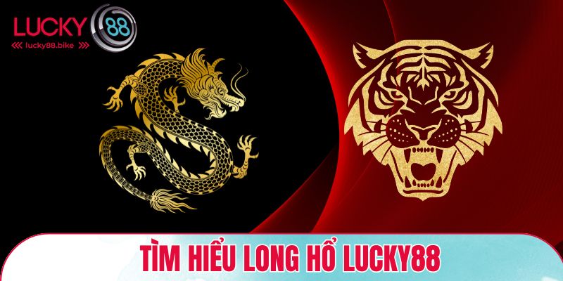 Tìm hiểu long hổ Lucky88