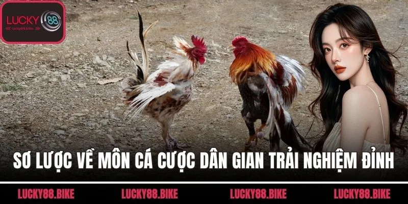 Sơ lược về môn cá cược dân gian trải nghiệm đỉnh